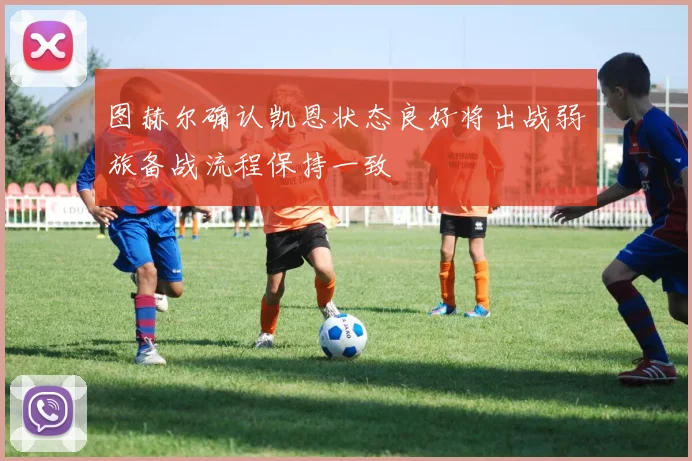 图赫尔确认凯恩状态良好将出战弱旅备战流程保持一致
