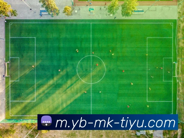 MK体育APP 封面图